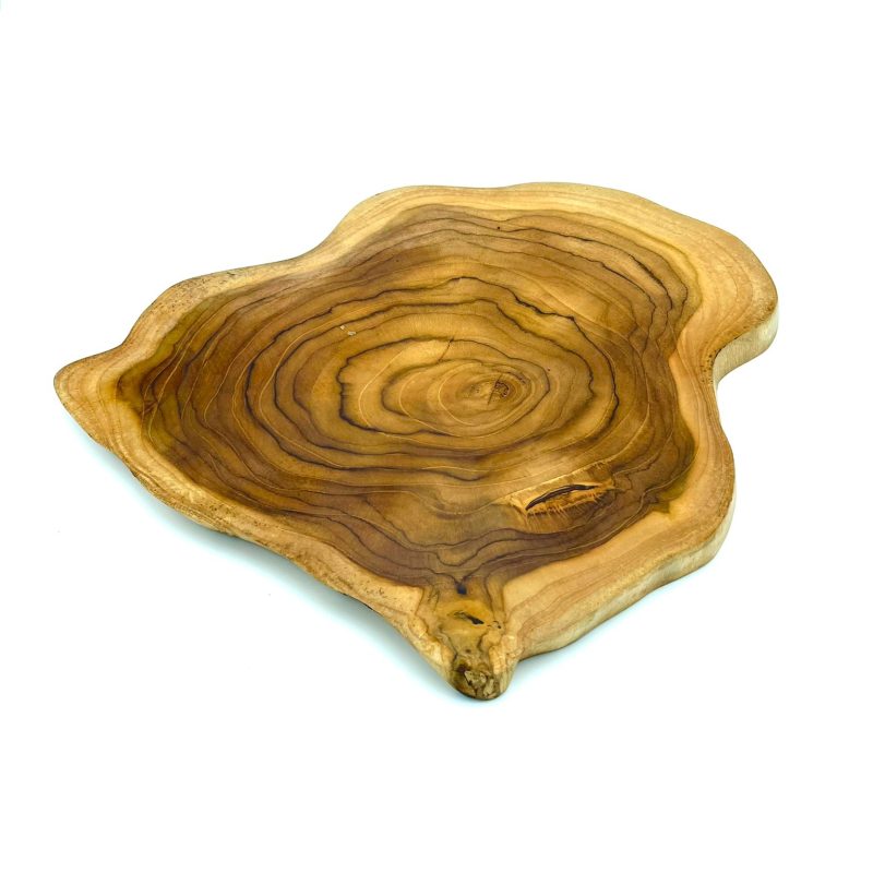 Bowl tree trank shape large