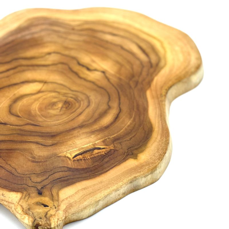 Bowl tree trank shape large